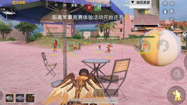 深入了解和平精英辅助现象：技术创新与社会影